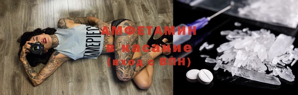 PSILOCYBIN Елабуга