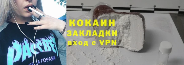 винт Ельня