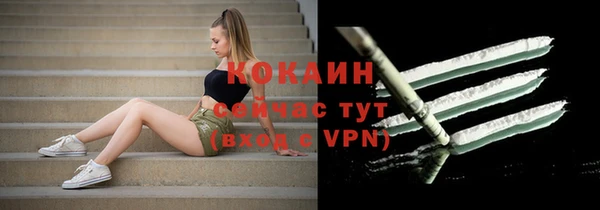 винт Ельня