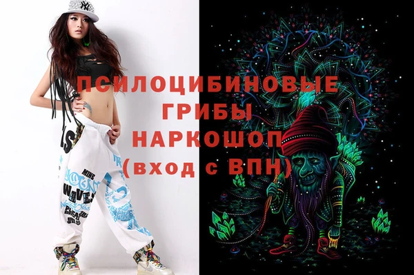 винт Ельня