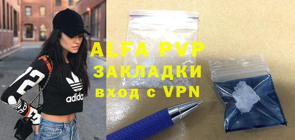 PSILOCYBIN Заводоуковск