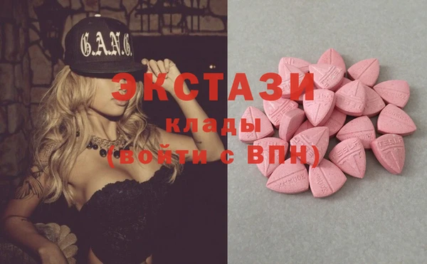 винт Ельня